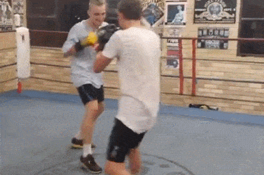 knockout-gif